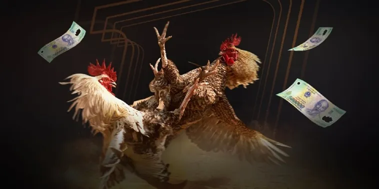 Đá Gà AE888 1 Trải Nghiệm Đá Gà AE888 Đỉnh Cao Thắng Lớn Mỗi Ngày