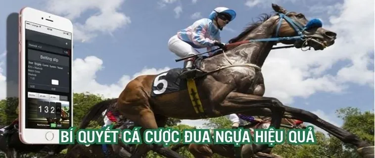 Đường Đua Vinh Quang Tìm Hiểu Cá Cược Đua Ngựa AE888